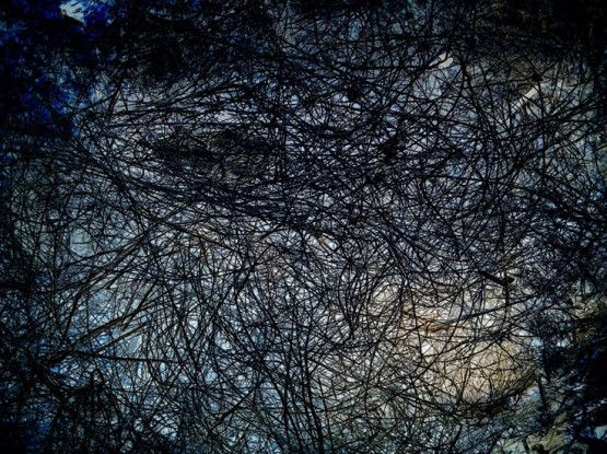 IPS #5750 (Scrub #12), 2014