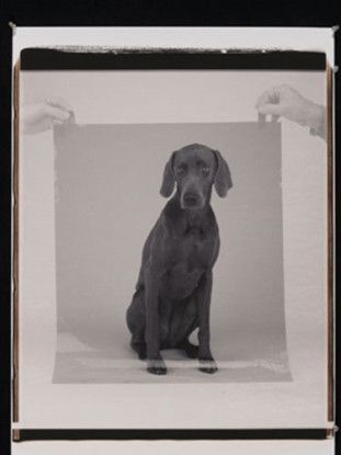 The Developed Print, 2004