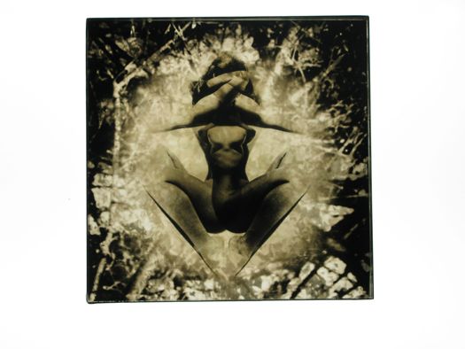 Figure Foliage #3, 1969
