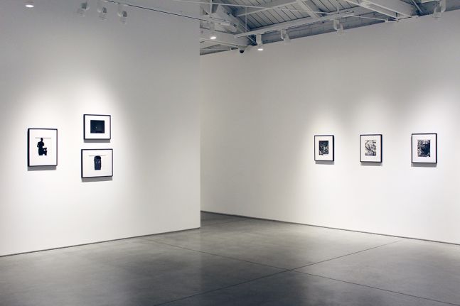 Harry Callahan & Robert Heinecken Figures in Transformation, installation view