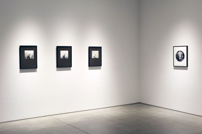 Harry Callahan & Robert Heinecken Figures in Transformation, installation view