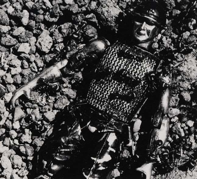 David Wojnarowicz Untitled (Control) from the Ant Series, 1988-89