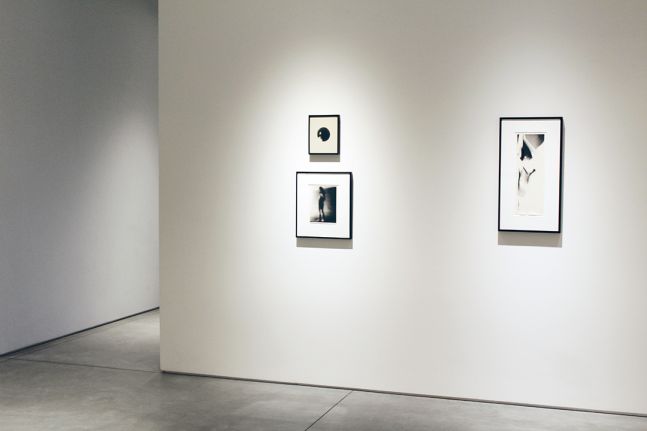 Harry Callahan & Robert Heinecken Figures in Transformation, installation view