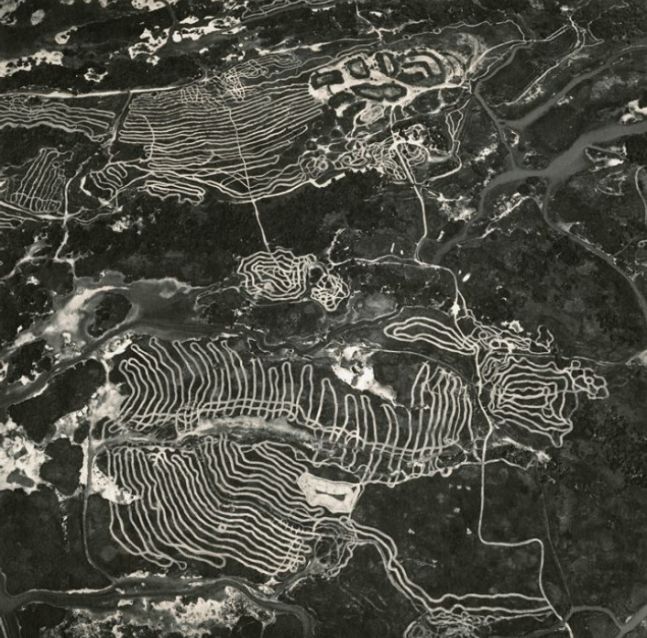 Waterfowl Nesting Site and Wetland Area Restoration near Sutter Buttes, California, 1993