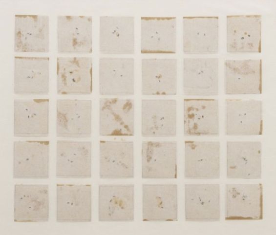 Seed Calendar, River Tree (SBCA), 1993