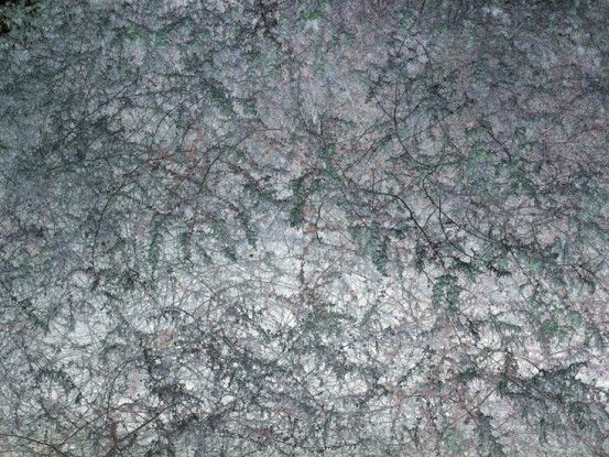 Untitled, 2008/printed 2014