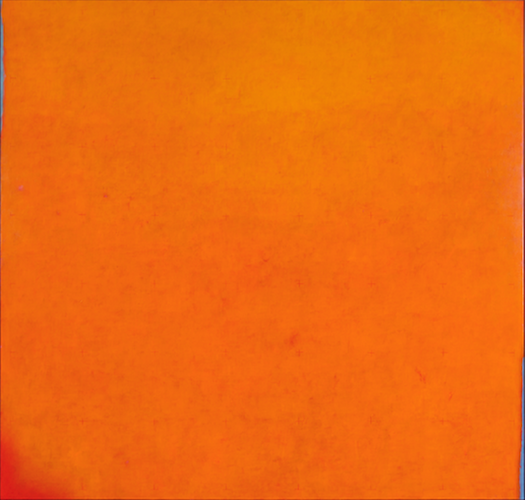 Grande arancio, 2007