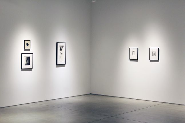 Harry Callahan & Robert Heinecken Figures in Transformation, installation view