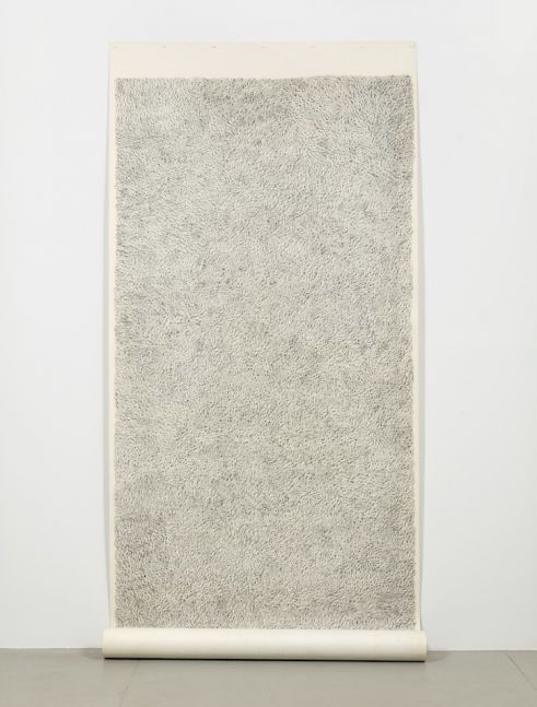 #9 Zena, 1973