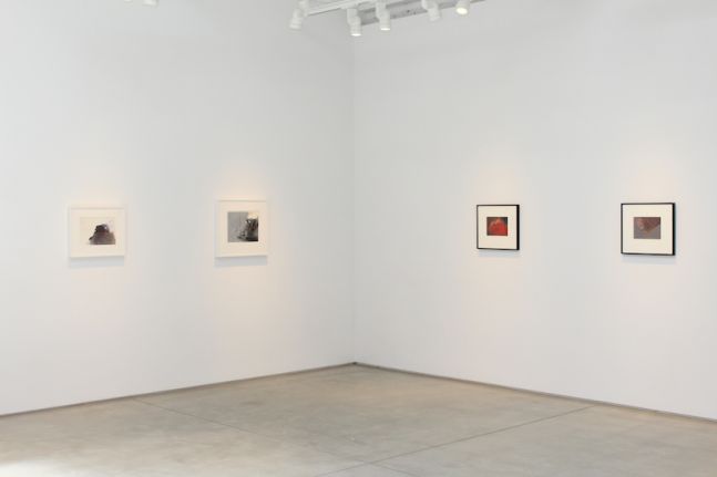 Jay DeFeo The Texture of Color, installation view