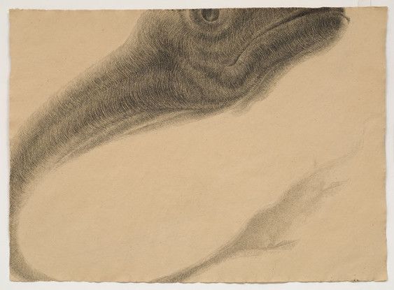 Looking at the Monster, 2008
