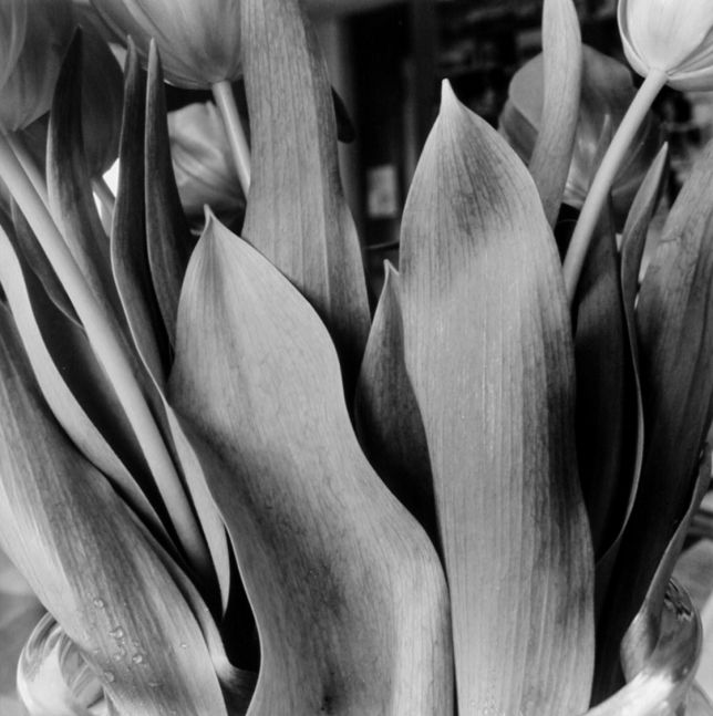 New City, New York, 1994/printed c. 2000s