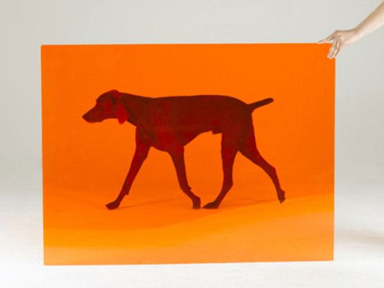Card, 2008
