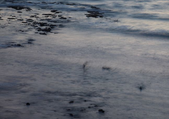 Untitled (January 17, 2015, 6:36PM), 2015