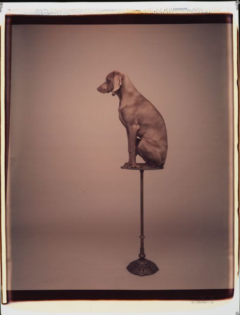 Sit Up, 1990