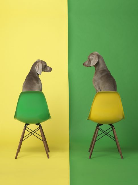 Yellow Two Green, 2015