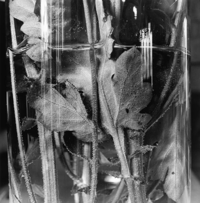 New City, New York, 1994/printed c. 2000s