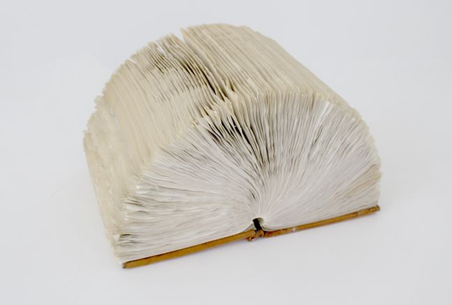 Helène Aylon The Book That Will Not Close