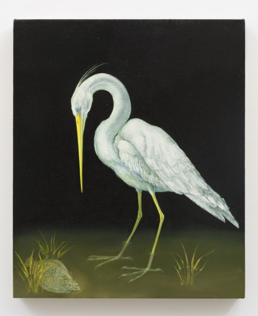 Flounder and Heron, 2015
