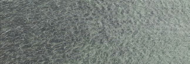 Untitled (November 11, 2013 2:26 PM), 2013