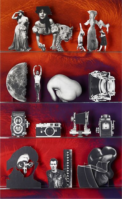 Camera, 2013