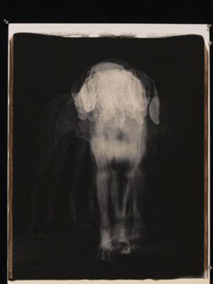 Shaken, 2004
