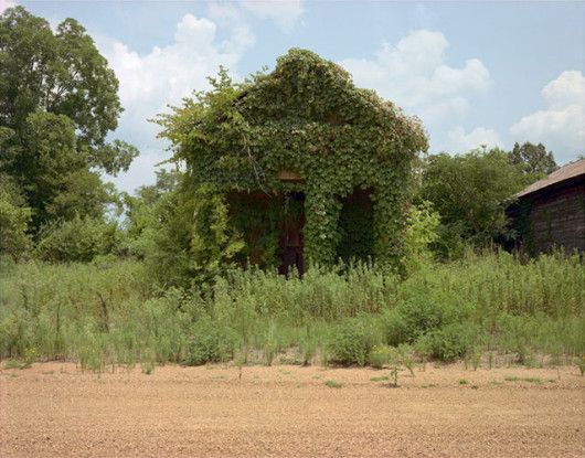 Building with False Brick Siding, Warsaw, Alabama (Far View), 1984