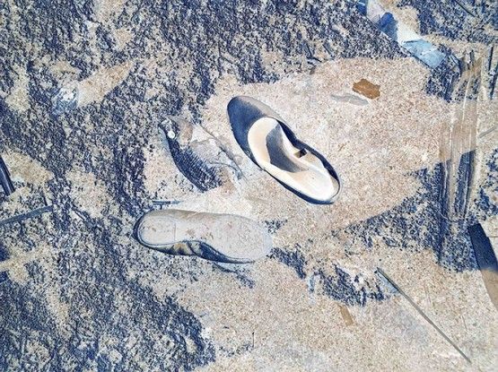 IPS #1812 (Shoes and Fish), 2011