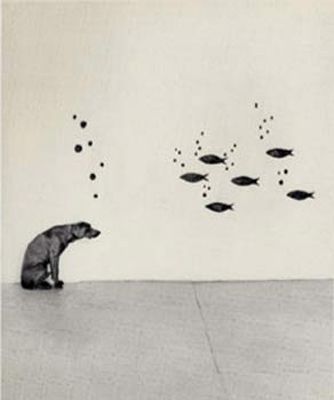 Thought/Bubble, 1971