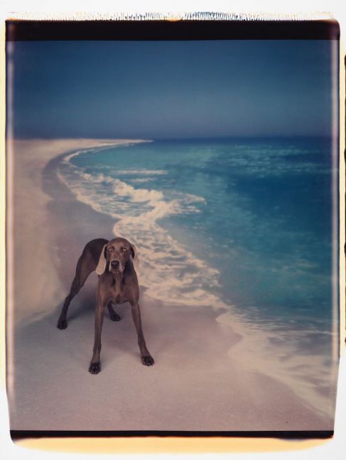 Beach Landing, 1992