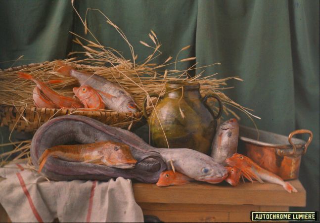 LUMIÈRE BROTHERS STUDIO (French) Still life with fish, circa 1907 Autochrome 13.9 x 17.9 cm "Autochromes Lumière" printed label