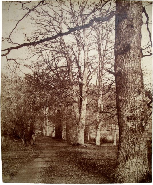 Benjamin Brecknell TURNER (English, 1815-1894) "In Loseley Park"*, 1852-1854 Albumen print from a waxed calotype negative 27.0 x 22.4 cm Titled in pencil on verso