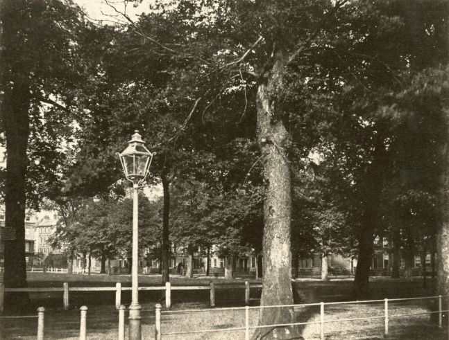 Hugh OWEN (English, 1808-1897) Queen Square, Bristol Albumen print, 1860s-1870s, from a paper negative, before 1855 15.4 x 20.3 cm mounted on 26.0 x 28.3 cm album sheet Numbered "56" in pencil on mount