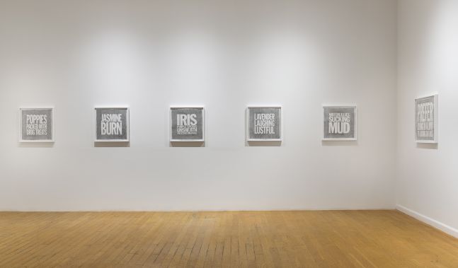 Installation View of Perfect Flowers at Elizabeth Dee Gallery, 2017
