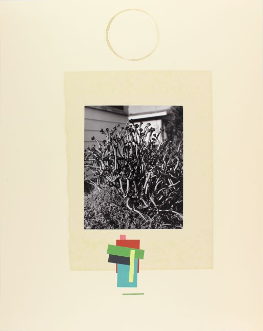 John Gossage, Untitled (Distraction), 1994