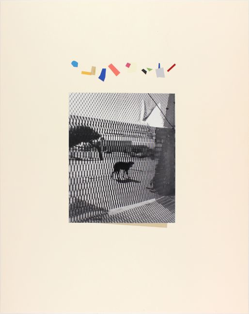John Gossage, Untitled (Distraction), 1996