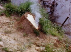 Estate of Ana Mendieta