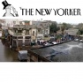 The New Yorker