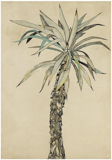 Lucian Freud Drawings
