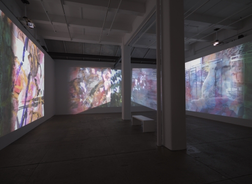Carolee Schneemann