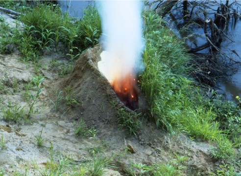 Ana Mendieta
