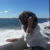 Profile picture of Raghda Elshafey