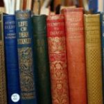 Profile picture of Michelle C