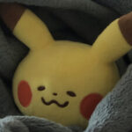 Profile picture of Taaseen Rahman