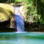 Profile picture of Tatyana Phillips