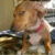 Profile picture of Sherice