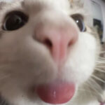 Profile picture of Katy Ye