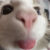 Profile picture of Katy Ye (she/her/they/them/their/)
