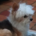 Profile picture of Marcela Duque