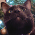 Photo of Zoey Kambour